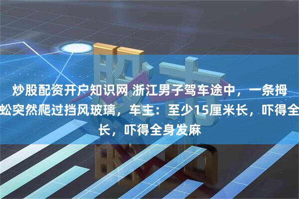 炒股配资开户知识网 浙江男子驾车途中，一条拇指粗蜈蚣突然爬过挡风玻璃，车主：至少15厘米长，吓得全身发麻